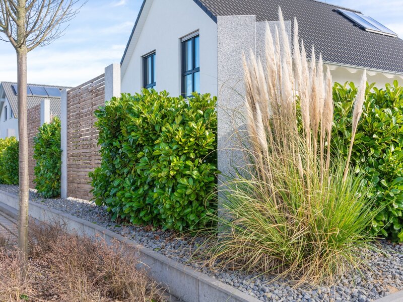 Pomysł, by&nbsp;osłonić się przed sąsiadami