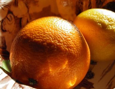 Miniatura: Pomarańcze podrożały o 130 procent. Włosi...