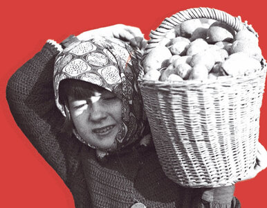 Miniatura: Umierały wciągnięte przez maszyny albo...