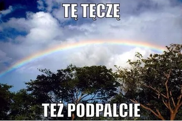 fot. Kwejk.pl