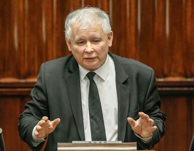 Miniatura: Jarosław Kaczyński: Spór o TK rozwiązać...