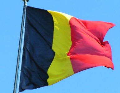 Miniatura: Belgia: rząd uratuje kraj przed podziałem?