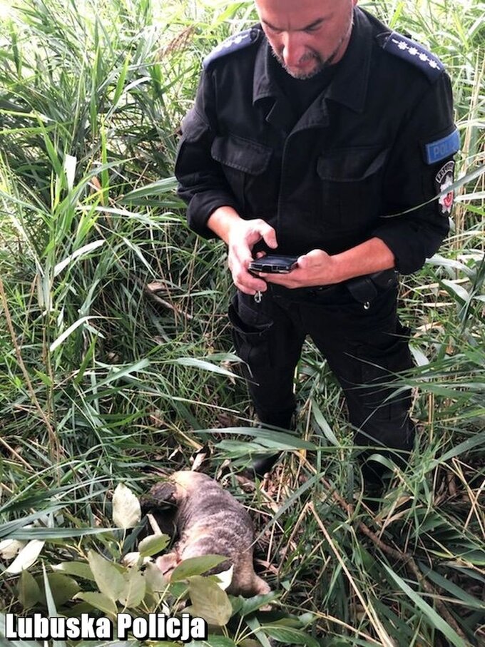 Policjant przy odnalezionym psie