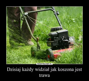 Memy na majówkę 