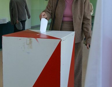 Miniatura: W Bydgoszczy zaginęło 1700 kart do głosowania