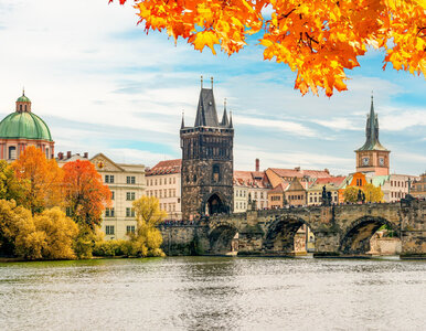 Miniatura: Nie Paryż, nie Londyn. Te miasta są...