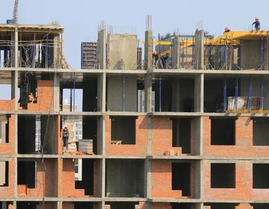 Miniatura: Jak Polakom pracuje się z Ukraińcami? Jest...