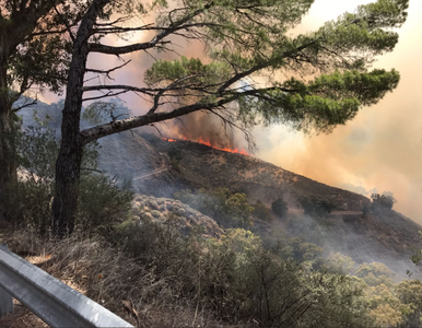 Miniatura: Pożar ogarnął wyspę Gran Canaria. Sytuację...