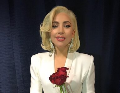 Lady Gaga uratowała fotoreportera. Podczas Oscarów doszło do wpadki