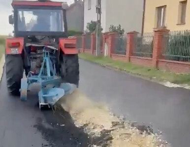 Miniatura: Nagły zwrot w sprawie rolnika z Gliwic....
