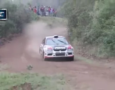 Miniatura: Ten pies oszukał przeznaczenie. Prawdziwy...