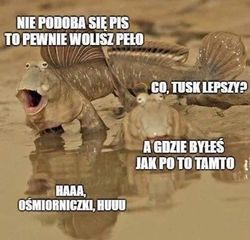 Memy po taśmach Kaczyńskiego 