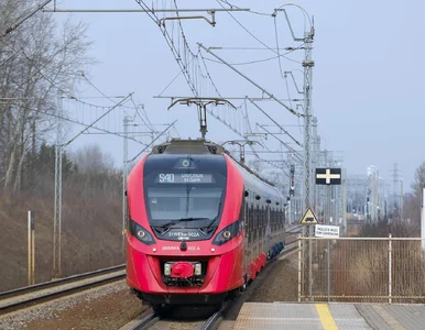 Miniatura: Bulwersujące sceny w pociągu. Konduktor...