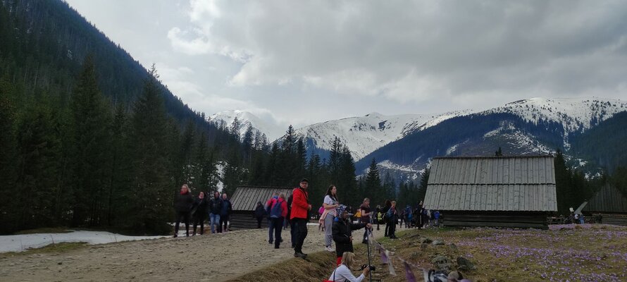 Miniatura: Majówka na tatrzańskich szlakach