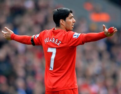 Miniatura: Liverpool ukarze Suareza grzywną