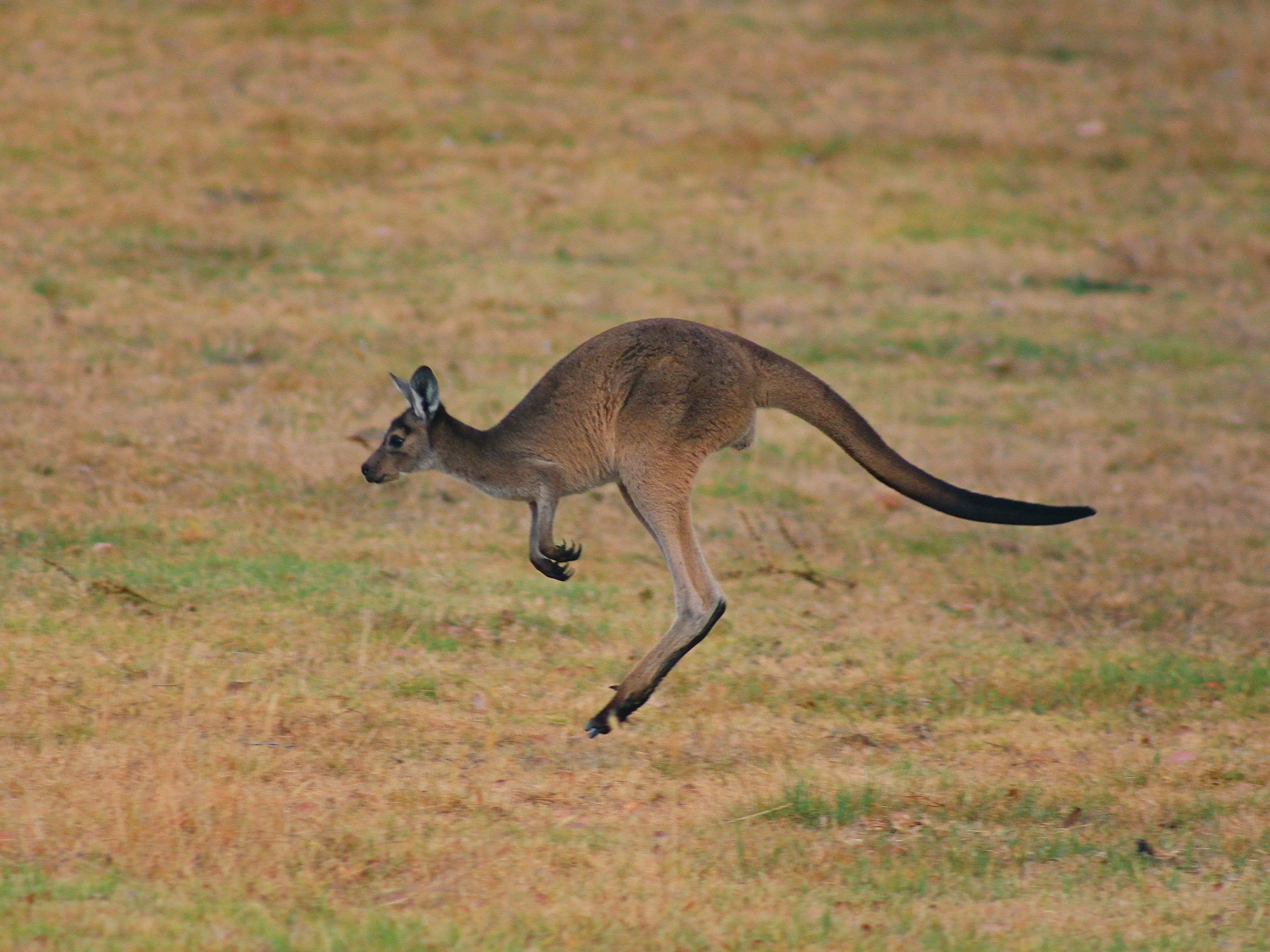 Prawda czy fałsz? 10 pytań z wiedzy ogólnej