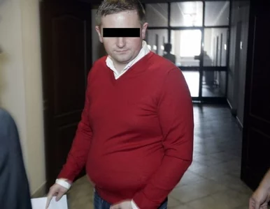 Miniatura: "Afera Amber Gold to efekt 20 lat złego...