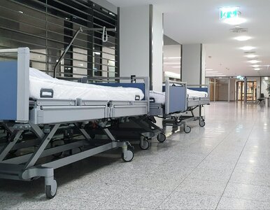 Miniatura: 316 tys. zł. Miesięczna pensja lekarza w...