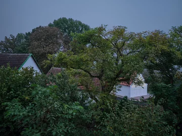Mały dom w starym sadzie, projekt Jan Žaloudek 