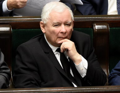 Miniatura: Kaczyński przesunął termin operacji...