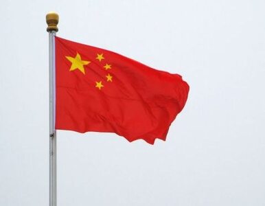 Miniatura: Chiny obawiają się firm "zombie"