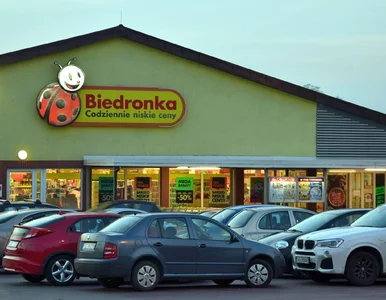 Miniatura: Biedronka szykuje nowy gang maskotek....