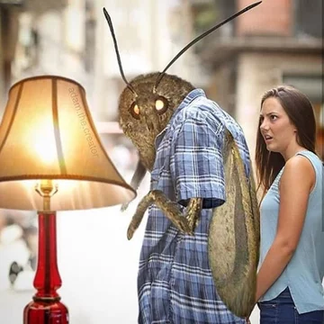 Mem z ćmą 