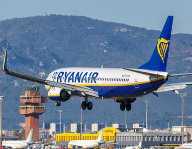 Miniatura: Ryanair usunął 37 tras. Jednego połączenia...