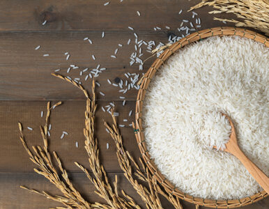 Po zjedzeniu ryżu czujesz się śpiący? Dietetyk wyjaśnia, dlaczego tak jest