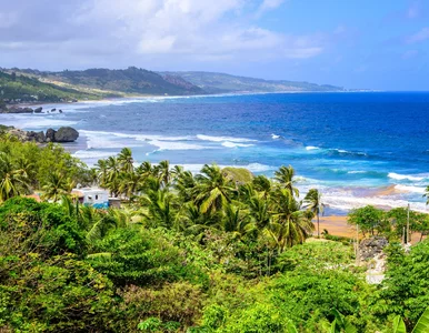 Miniatura: Tę wyspę warto odwiedzić w 2026 roku....