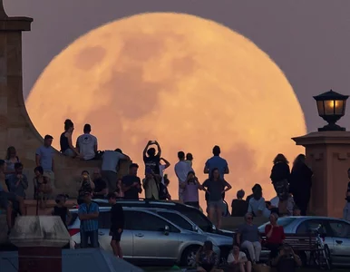 Miniatura: „Super Blue Blood Moon”. W środę na niebie...