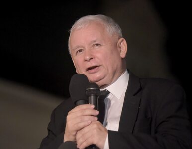 Miniatura: Kaczyński: Nie widzę powodu, by wyrażać...