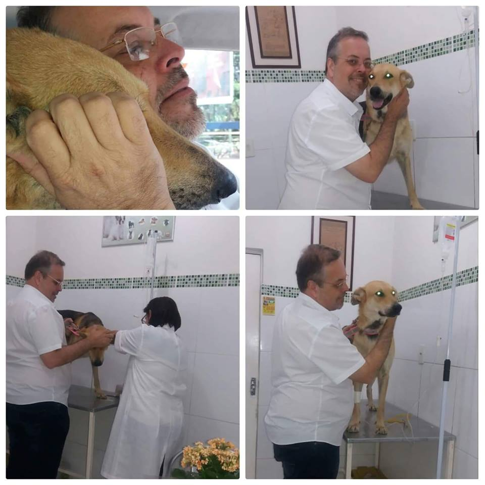 João Paulo Araujo Gomes szuka domów dla bezdomnych psów 