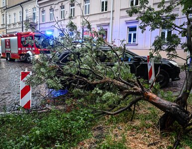 Miniatura: Nawałnice i burze przetaczają się przez...
