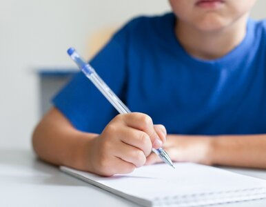 Miniatura: QUIZ ortograficzny. „Chaber” czy „haber”?...