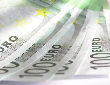 Miniatura: Będzie trudniej o kredyt w euro?