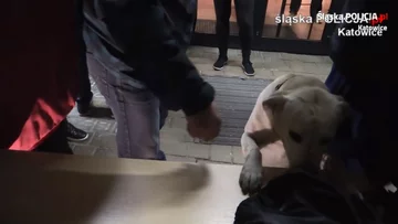 Funkcjonariusze zatrzymali 22 osoby, które miały przy sobie narkotyki 