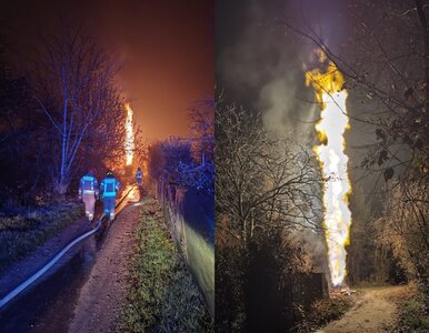 Miniatura: Wyciek gazu w Krakowie. Ogień był widziany...