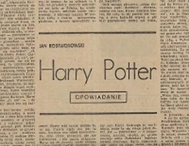 Miniatura: Harry Potter jest Polakiem?