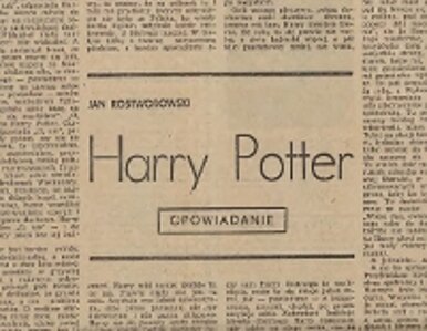 Miniatura: Harry Potter jest Polakiem?