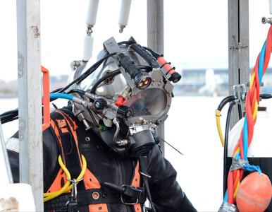 Miniatura: Przez 225 lat widniał jako zaginiony. W...