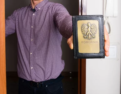 Miniatura: Aukcja komornicza – jak przebiega i co to...