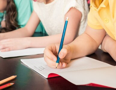 Miniatura: QUIZ. Razem czy osobno? Na pisowni tych...