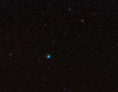 Miniatura: Noc spadających gwiazd 2020. O której w...