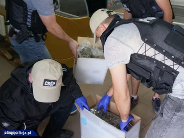 Dwupiętrowa plantacja marihuany zlikwidowana 