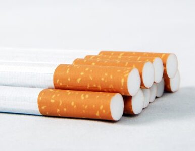 Miniatura: Polacy zaczynają palić w wieku... 11 lat