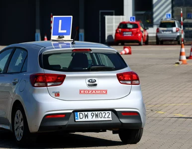 Miniatura: Rząd chce zmienić egzamin na prawo jazdy....
