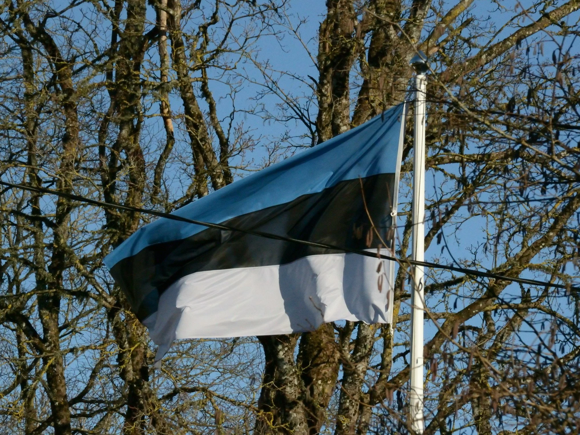Jaki kraj ma taką flagę?