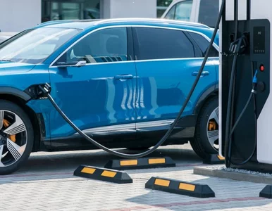 Miniatura: Będą wspólnie promować elektromobilność w...