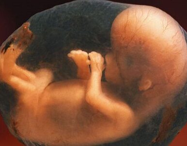 Miniatura: Szpital pozywa przeciwników aborcji za...